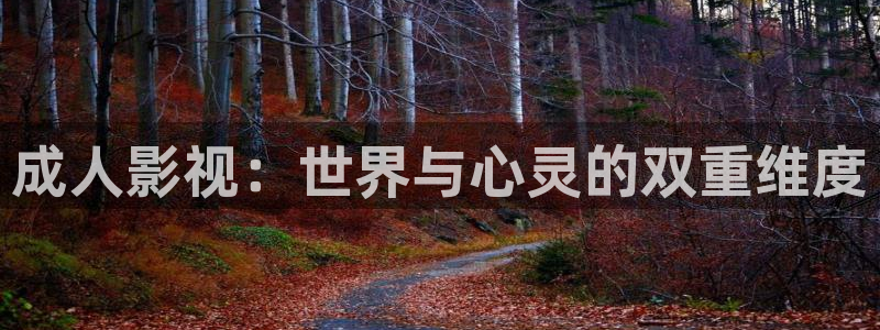 新视觉天堂飘花影院