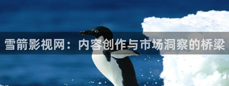 8090新视觉电影天堂：雪箭影视网：内容创作与市场洞察的桥梁