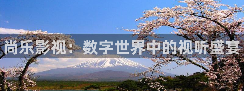 被窝电影天堂影院在线观看：尚乐影视：数字世界中的视听盛宴