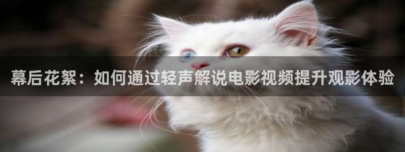 光棍影院天堂网在线观看