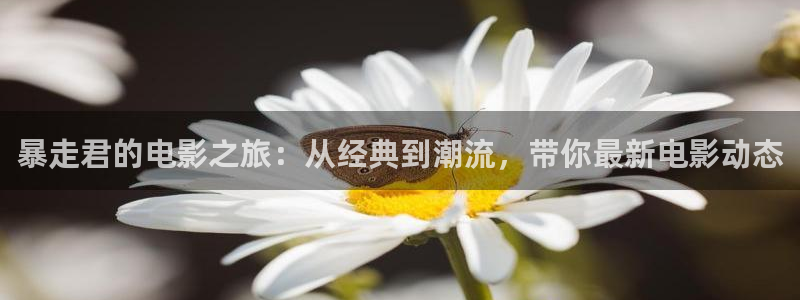 电影天堂伦理401