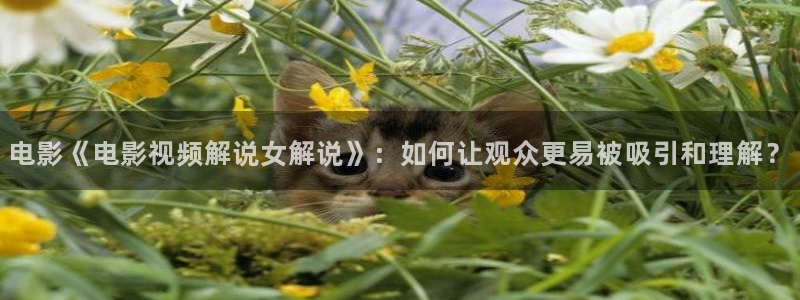 电影天堂919yy影视