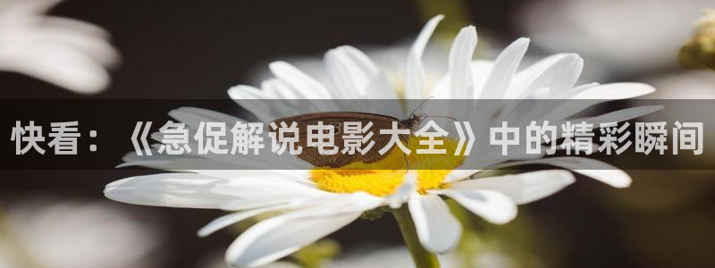 午夜天堂在线观看