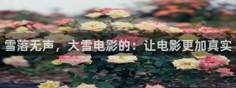 97天堂在线视频