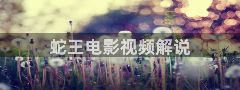 天堂影视神马午夜
