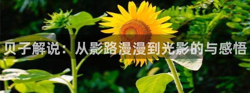 天堂影院电视剧全集观看