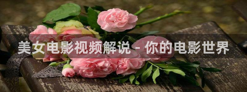 新视觉影院电影天堂
