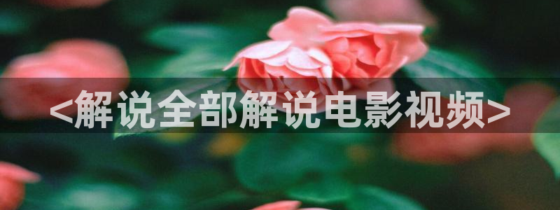 天堂影院免费在线观看电影电视剧