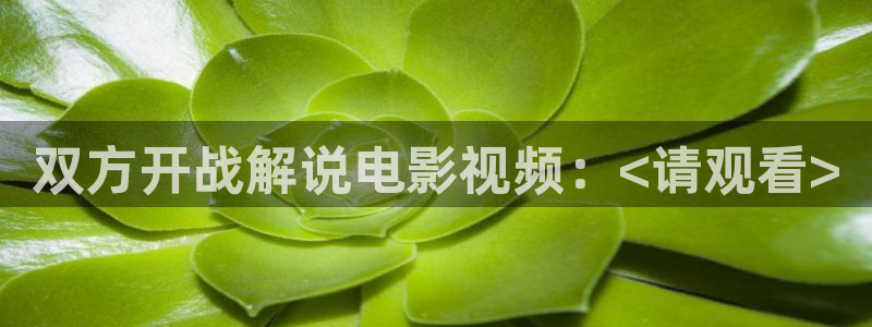 神马影院午夜天堂