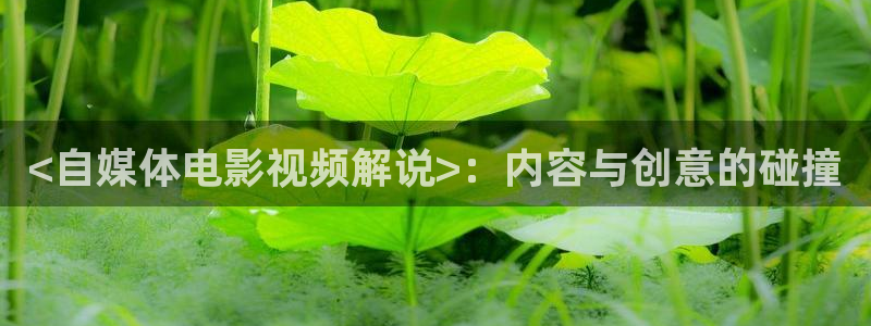 天堂影院在线免费观看电影电视剧