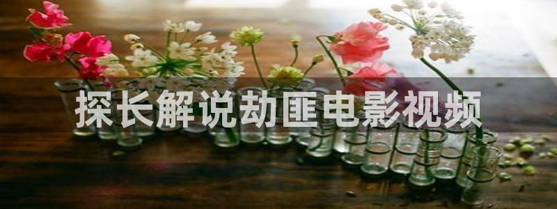 天堂影院官网在线观看电视剧：探长解说劫匪电影视频
