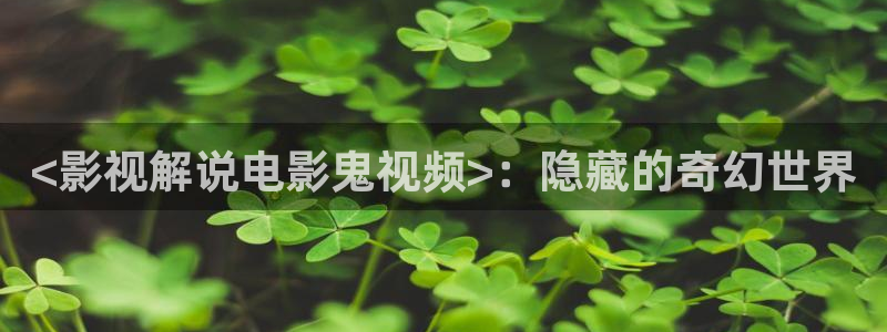 天狼电影天堂：<影视解说电影鬼视频>：隐藏的奇幻世界