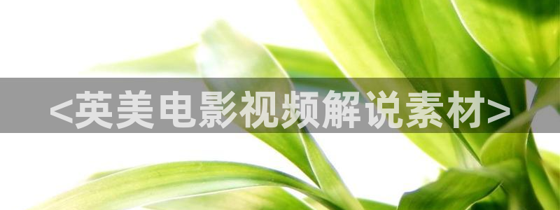 男人天堂2018在线观看97：<英美电影视频解说素材>