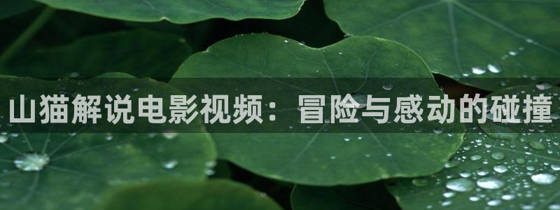 静漫天堂官网