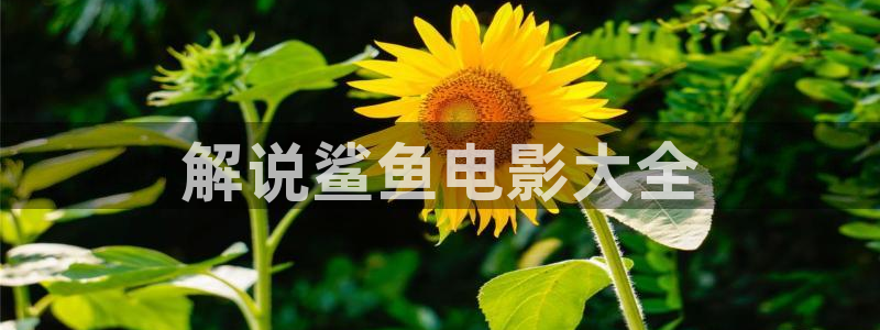 电影天堂在线电影