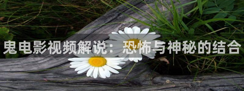 静漫天堂破解版
