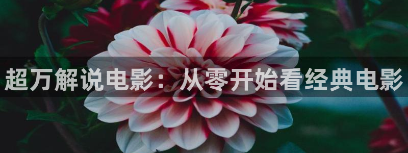 美味同居电影天堂午夜电影
