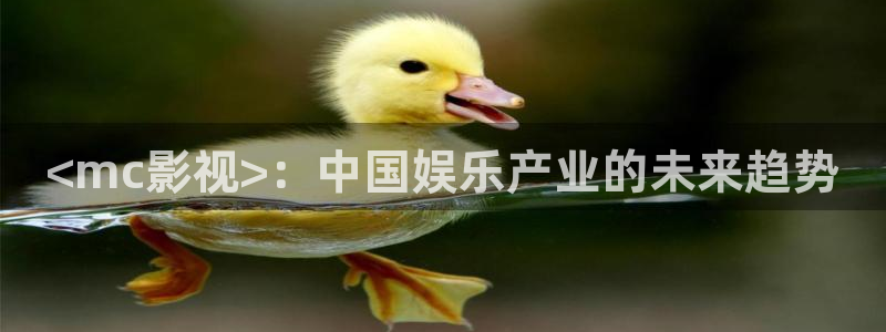 电影天堂午夜