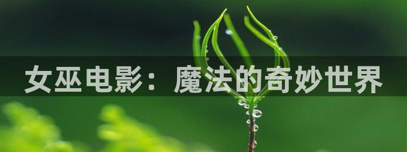 色漫天堂下载