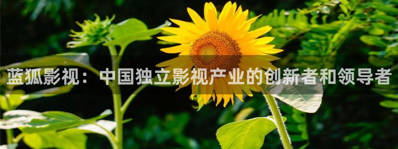 色漫天堂下载：蓝狐影视：中国独立影视产业的创新者和领导者
