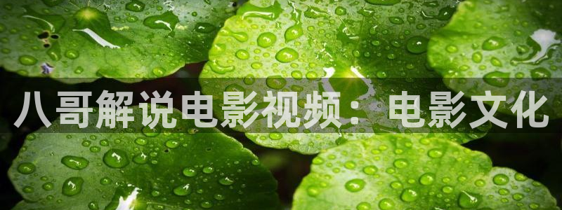 天堂影院2017在线观看