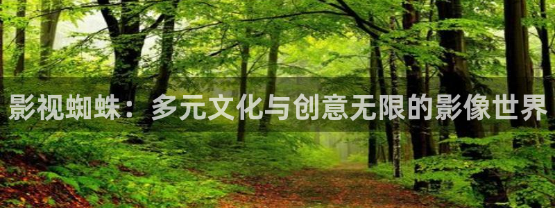 欲漫天堂：影视蜘蛛：多元文化与创意无限的影像世界