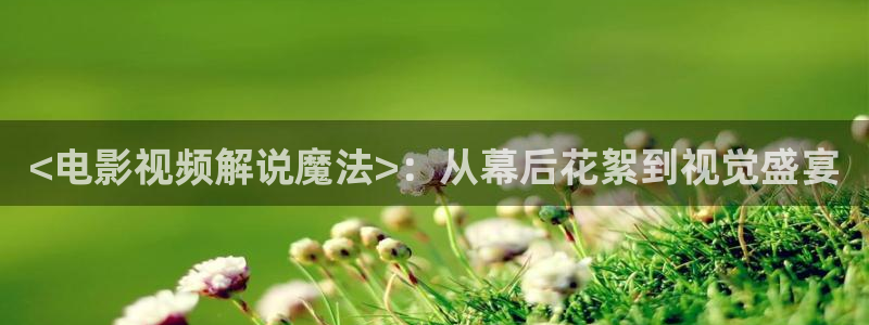 污漫天堂：<电影视频解说魔法>：从幕后花絮到视觉盛宴