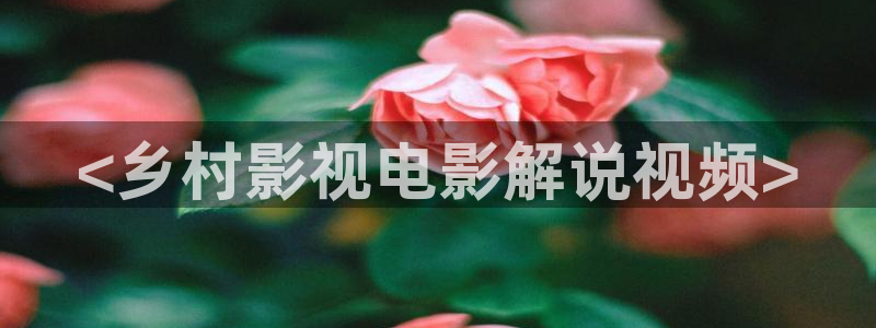 天堂影院电视剧：<乡村影视电影解说视频>