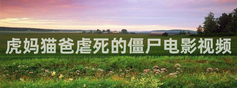 光棍天堂电影在线看片：虎妈猫爸虐死的僵尸电影视频