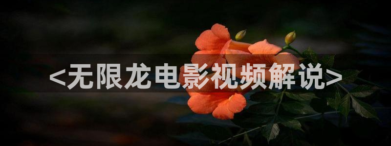 8090新视觉电影天堂