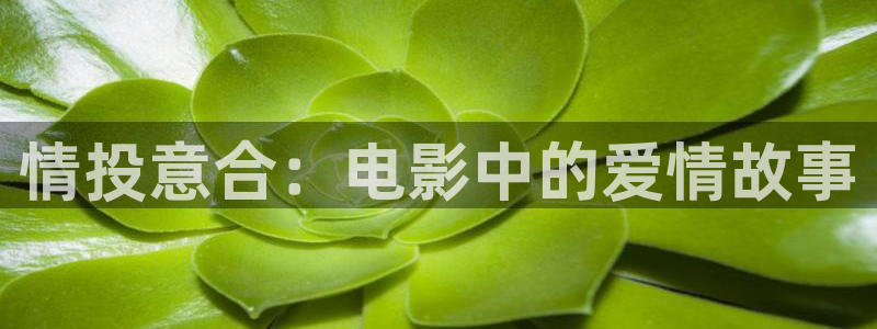 天堂漫蛙