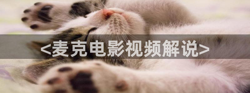 被窝电影天堂影院在线观看