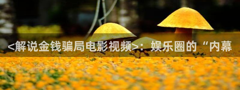 天堂影院在线观看