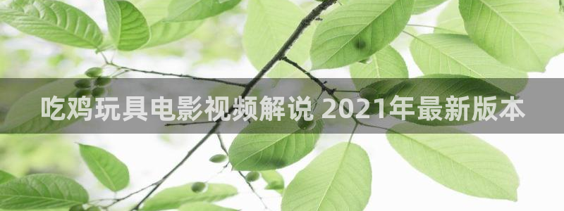 动画片电影天堂：吃鸡玩具电影视频解说 2021年最新版本
