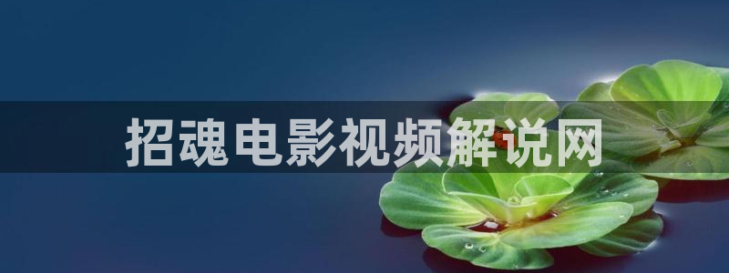电影天堂网午夜：招魂电影视频解说网