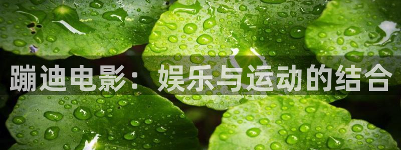 涩漫天堂下载安装包：蹦迪电影：娱乐与运动的结合