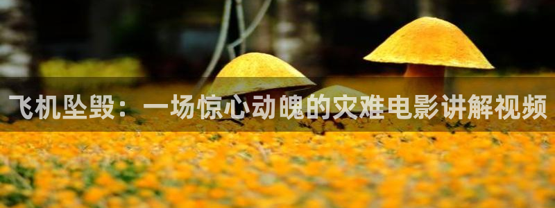 被窝电影高清天堂：飞机坠毁：一场惊心动魄的灾难电影讲解视频