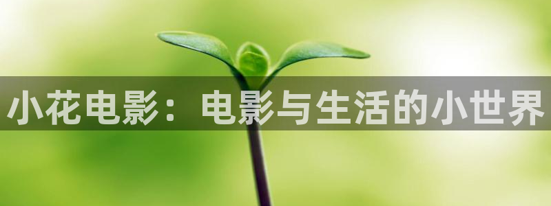 涩漫天堂网：小花电影：电影与生活的小世界