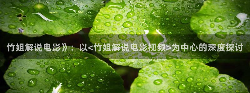 光棍天堂在线观看视频全集：竹姐解说电影》：以<竹姐解说电影视频>为中心的深度探讨
