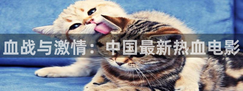 漫禁天堂在线：血战与激情：中国最新热血电影