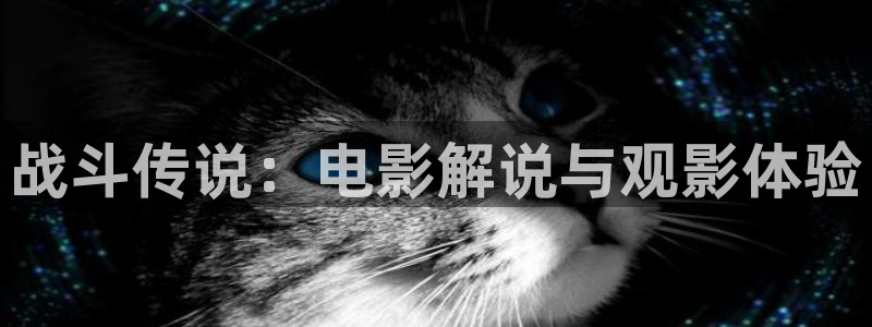 eeuss2012天堂伦理影院：战斗传说：电影解说与观影体验