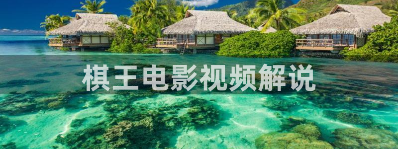 漫天堂.：棋王电影视频解说