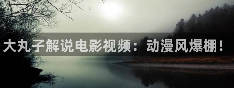 慧漫天堂：大丸子解说电影视频：动漫风爆棚！