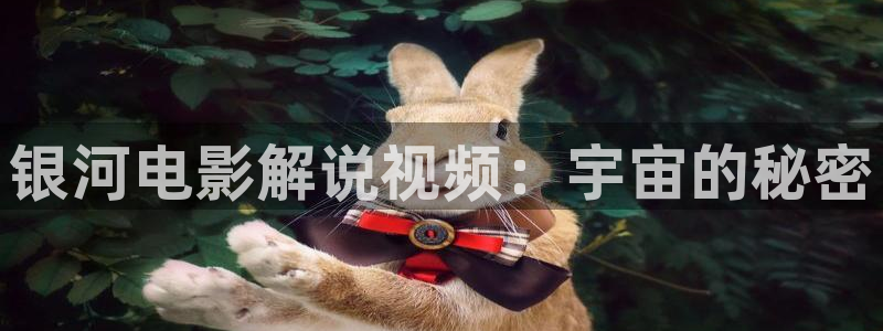 97视频在线观看男人的天堂
