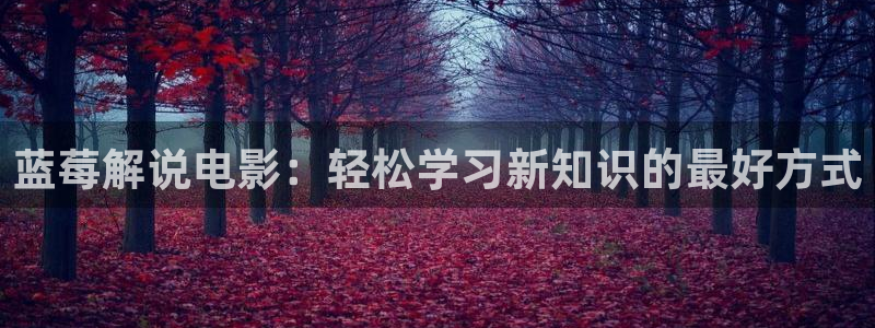 天堂影院电视剧：蓝莓解说电影：轻松学习新知识的最好方式