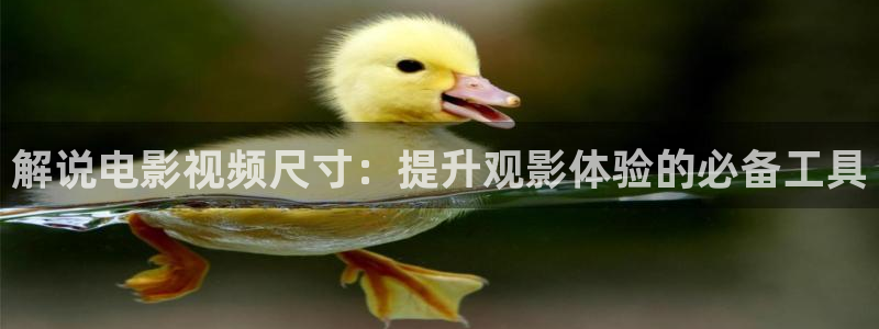 神马天堂在线影院：解说电影视频尺寸：提升观影体验的必备工具