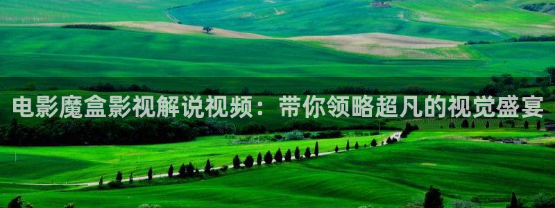 悟空电影天堂神马影视：电影魔盒影视解说视频：带你领略超凡的视觉盛宴