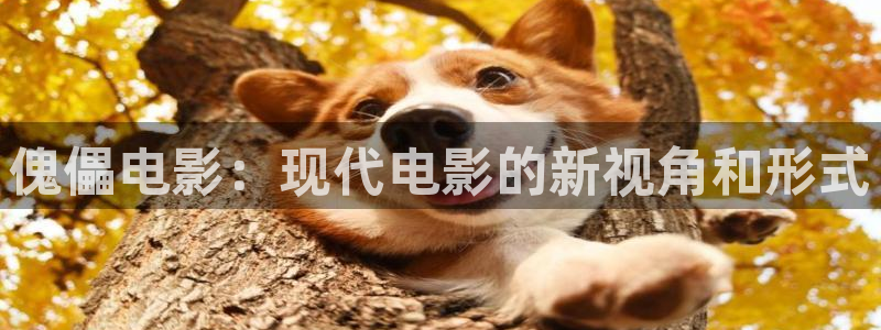 漫禁天堂网址：傀儡电影：现代电影的新视角和形式