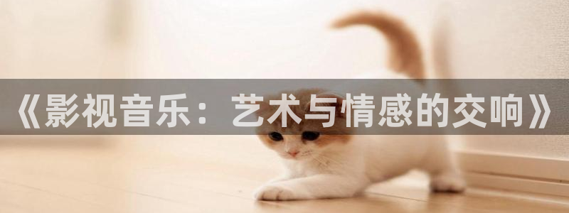 亚洲卡通天堂：《影视音乐：艺术与情感的交响》