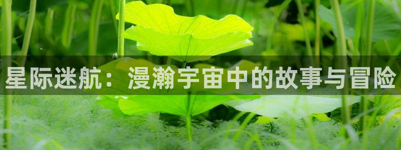 神马影院天堂网：星际迷航：漫瀚宇宙中的故事与冒险